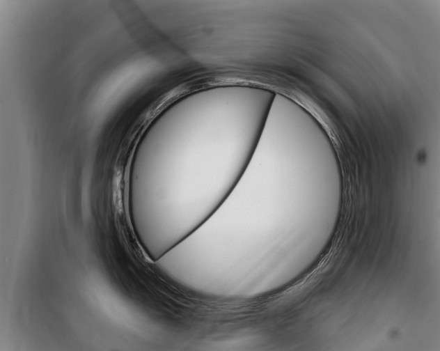 X0000100361055200806060819