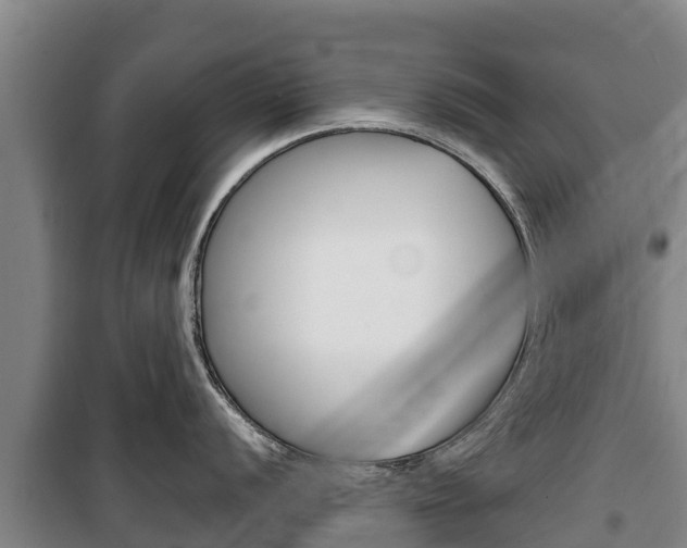 X0000100361056200806060819