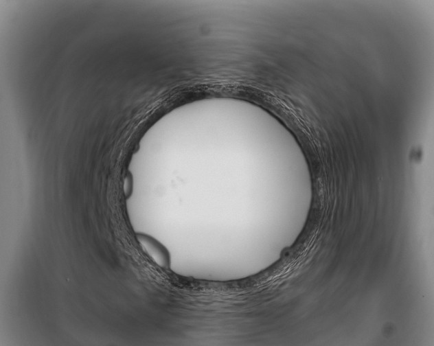X0000100361057200806060818