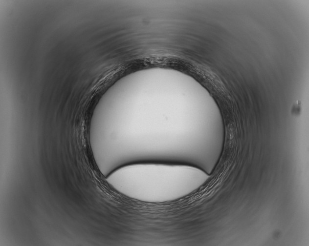X0000100361060200806060818