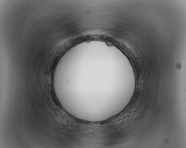 X0000100361062200806060818