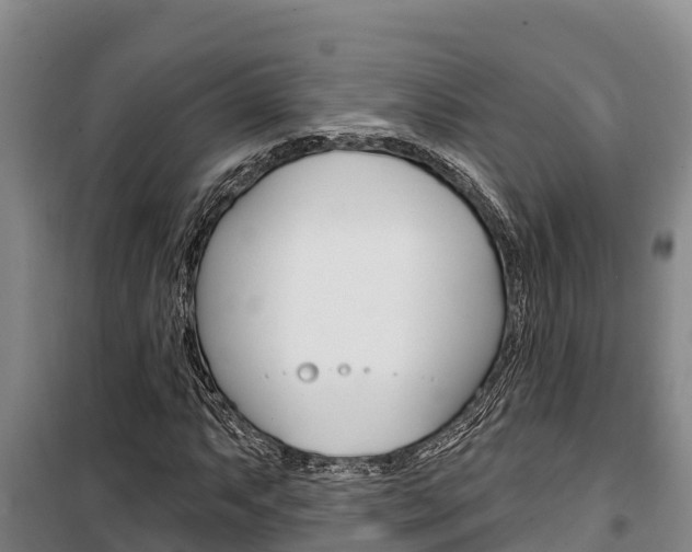 X0000100361063200806060818