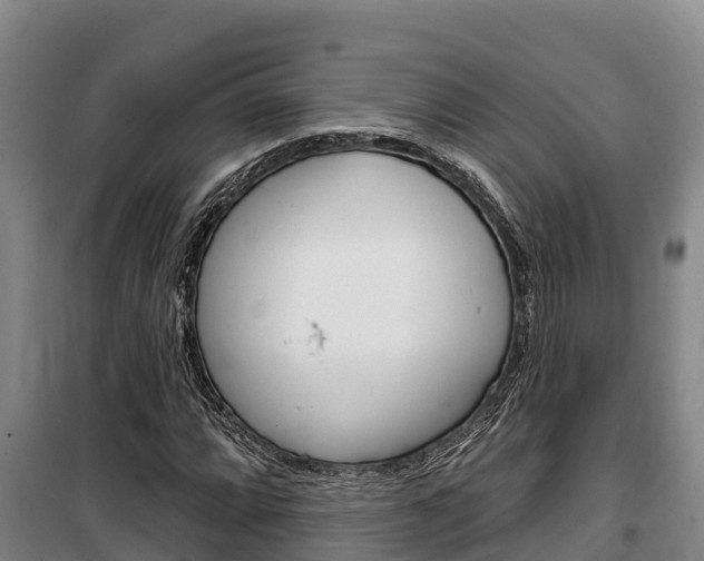 X0000100361064200806060818