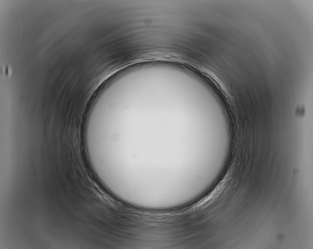 X0000100361065200806060818