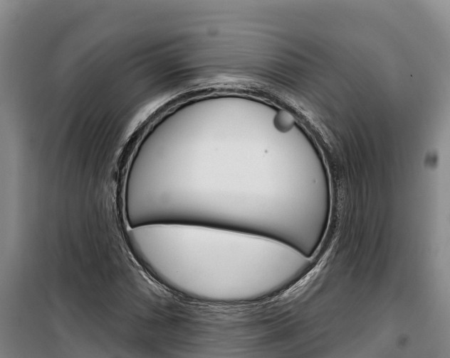 X0000100361066200806060818