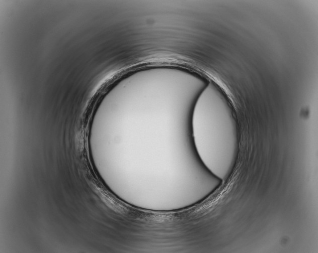 X0000100361067200806060818