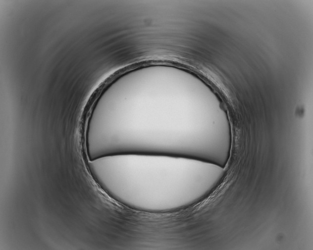 X0000100361068200806060818
