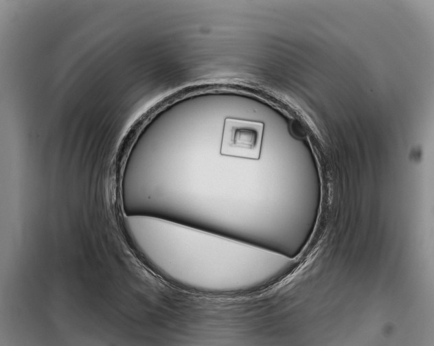 X0000100361069200806060818