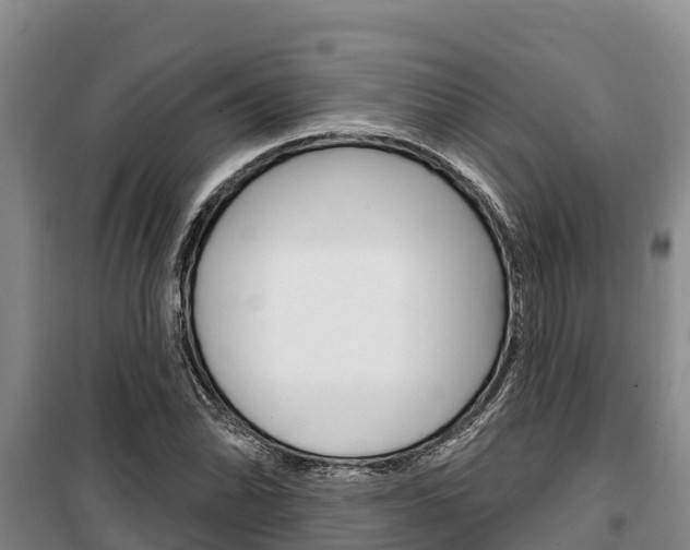X0000100361070200806060818