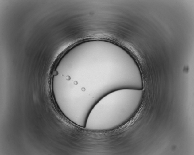 X0000100361071200806060818
