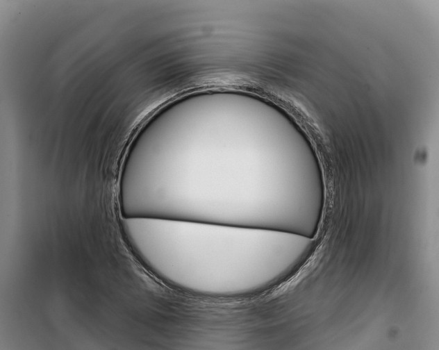 X0000100361073200806060818