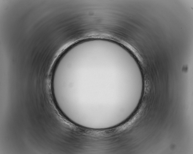 X0000100361074200806060818