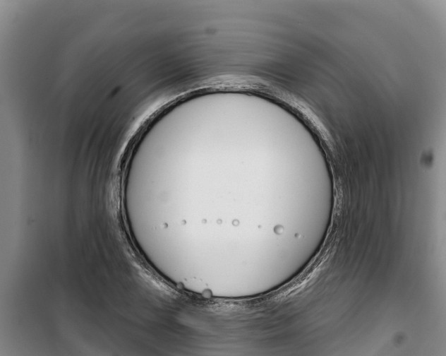 X0000100361075200806060818
