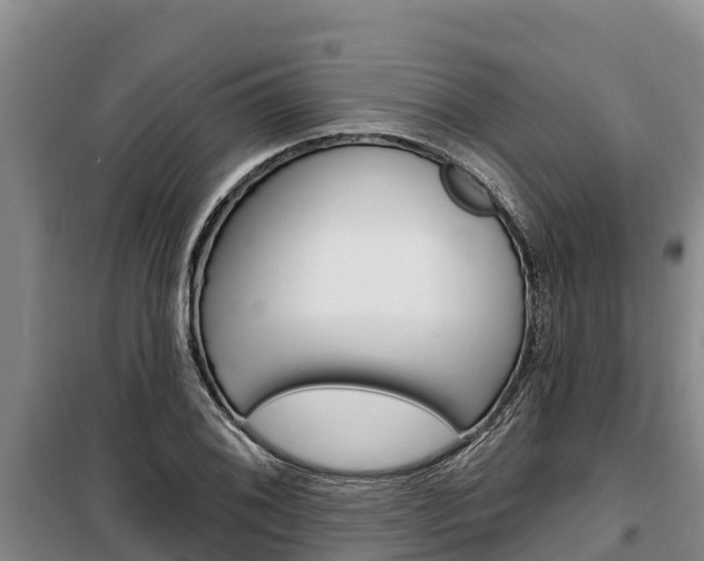 X0000100361076200806060818