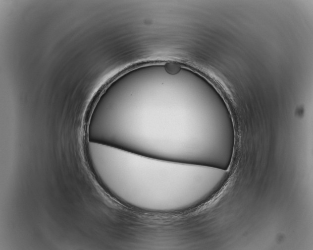 X0000100361077200806060817