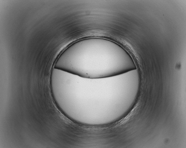 X0000100361081200806060817