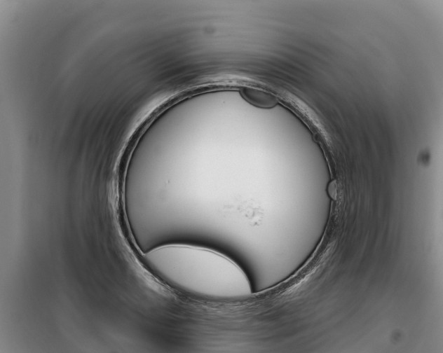 X0000100361082200806060817