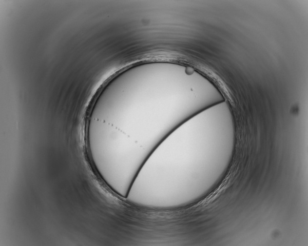 X0000100361083200806060817