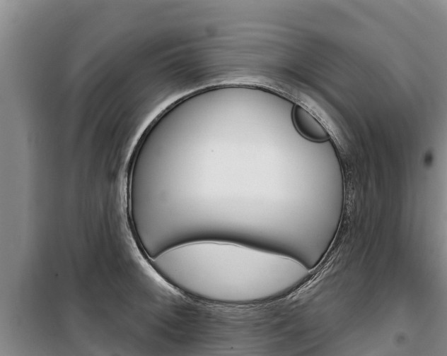 X0000100361092200806060817