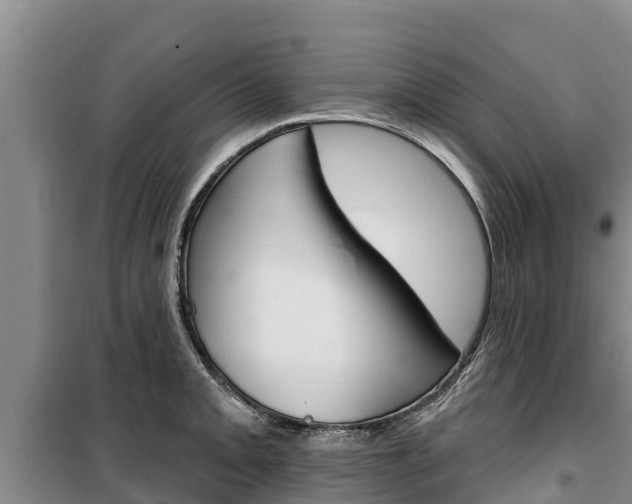 X0000100361093200806060817