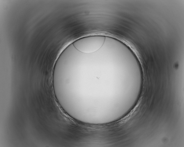 X0000100361097200806060817