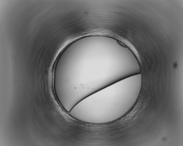 X0000100361099200806060817
