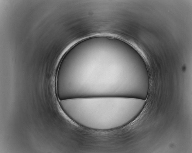 X0000100361100200806060817