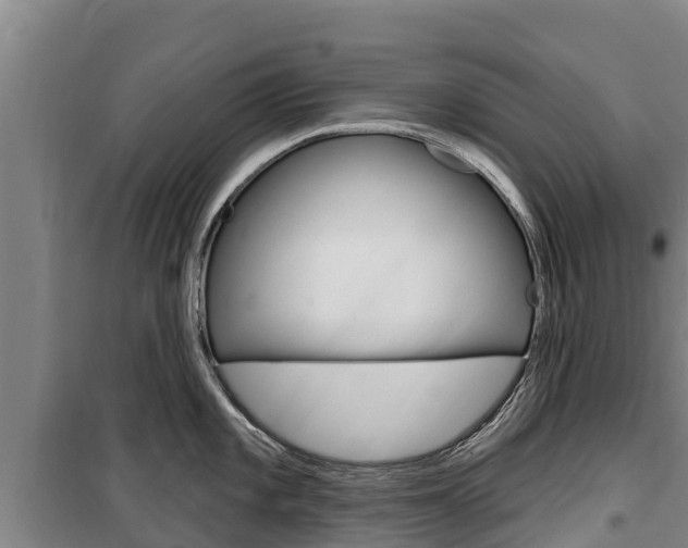 X0000100361101200806060817