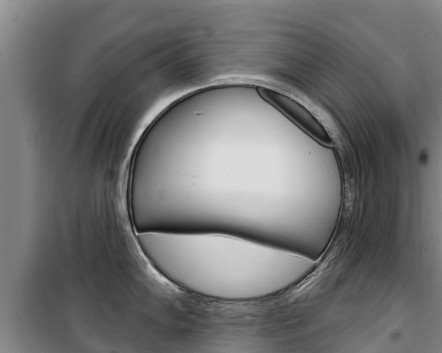 X0000100361102200806060817