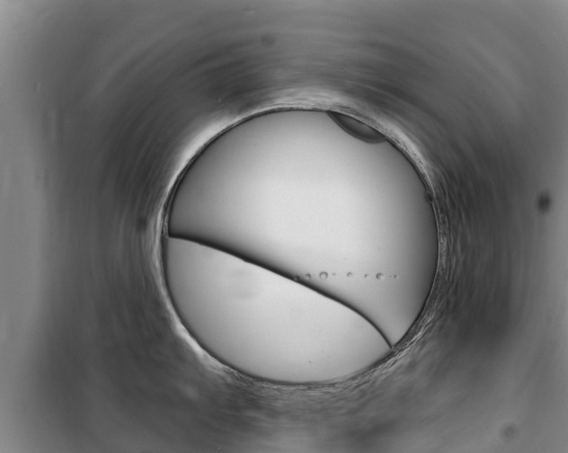 X0000100361103200806060817