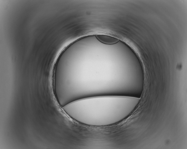 X0000100361104200806060817