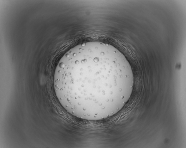 X0000100361105200806060816
