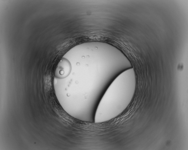 X0000100361106200806060816