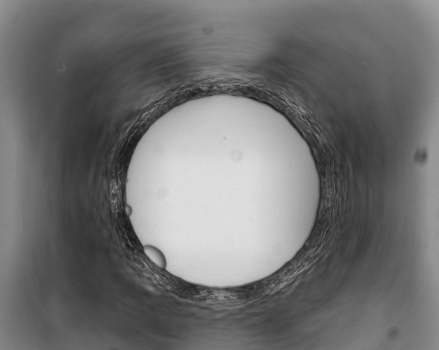 X0000100361109200806060816