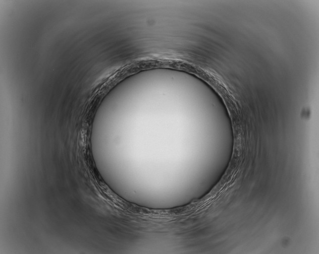X0000100361110200806060816
