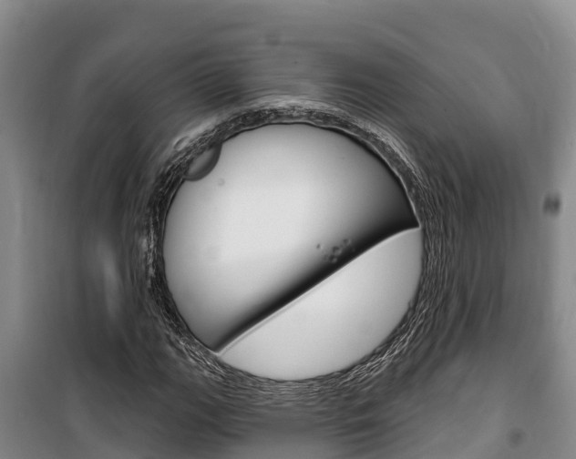 X0000100361111200806060816