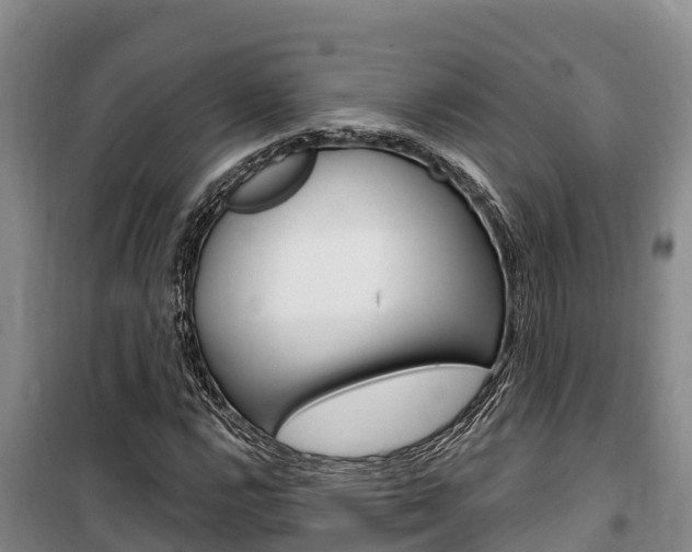 X0000100361112200806060817