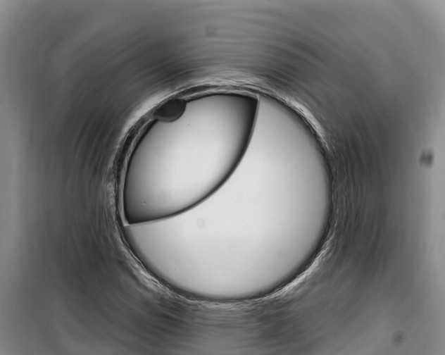 X0000100361114200806060817