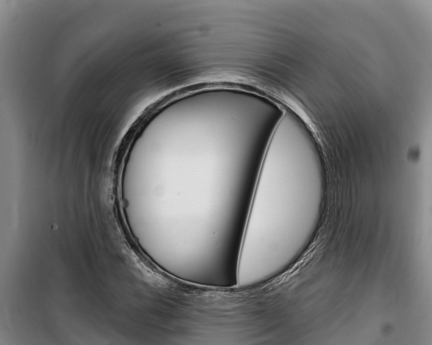 X0000100361116200806060817