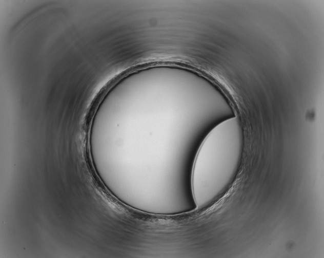 X0000100361119200806060817