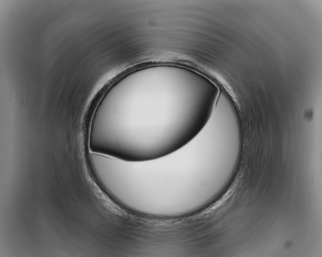 X0000100361122200806060817