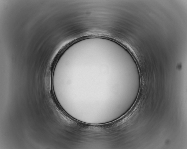 X0000100361123200806060817