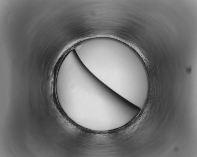 X0000100361126200806060817