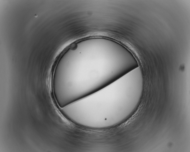 X0000100361127200806060817