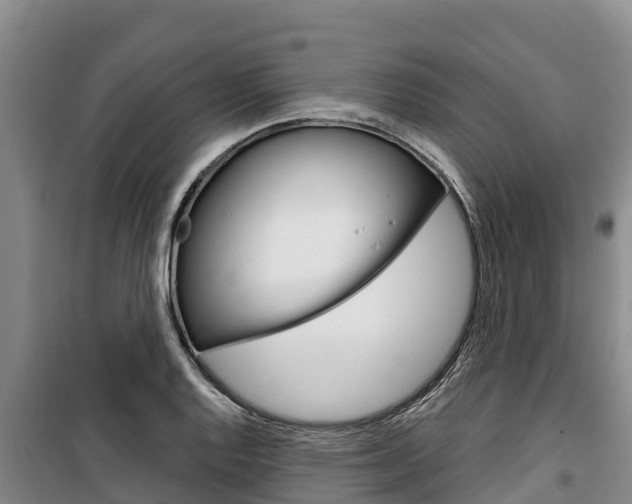 X0000100361128200806060817