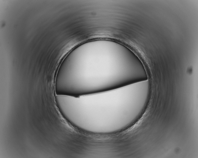 X0000100361129200806060817