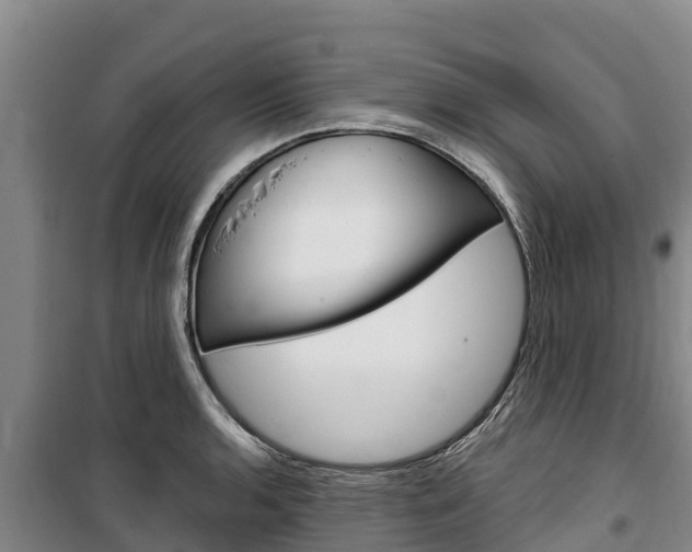 X0000100361136200806060817