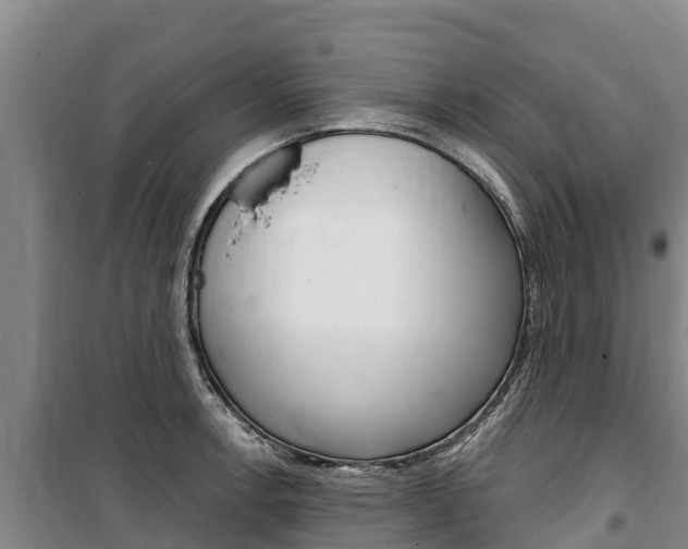 X0000100361138200806060817