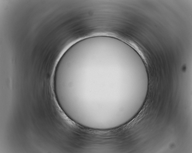 X0000100361140200806060817