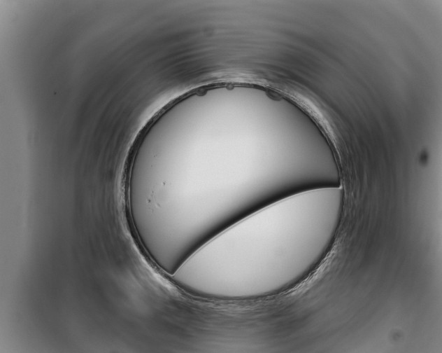 X0000100361141200806060817